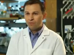 哈弗博士3分鐘讓你讀懂NAD+如何抗衰老